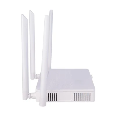 Ont Wifi 6